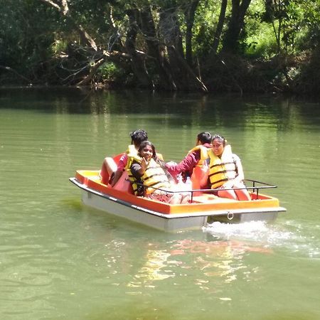 River Near Coorg Jambur Buitenkant foto
