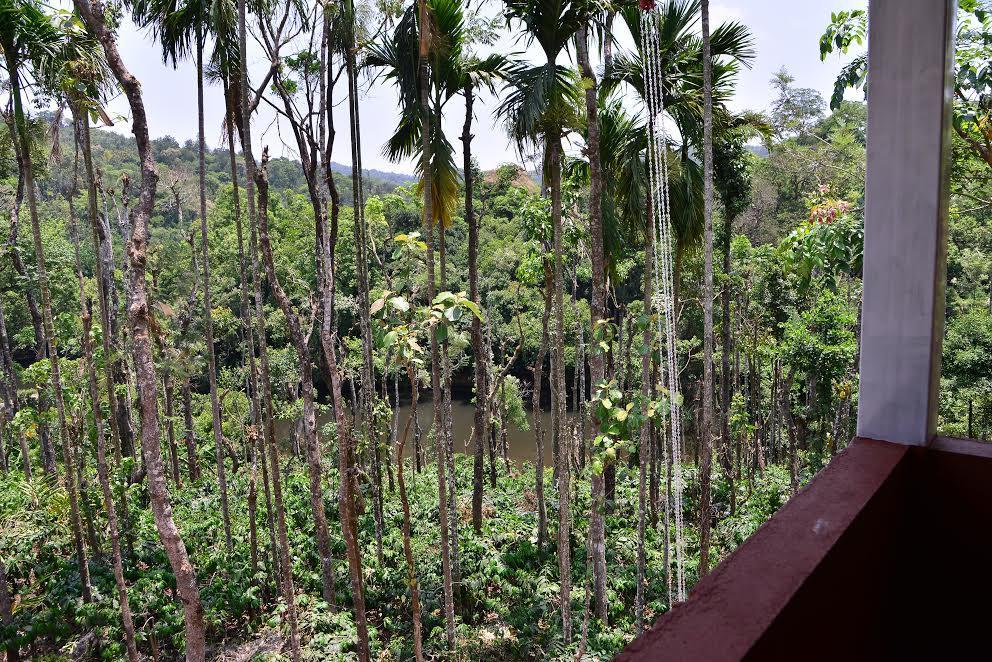 River Near Coorg Jambur Buitenkant foto