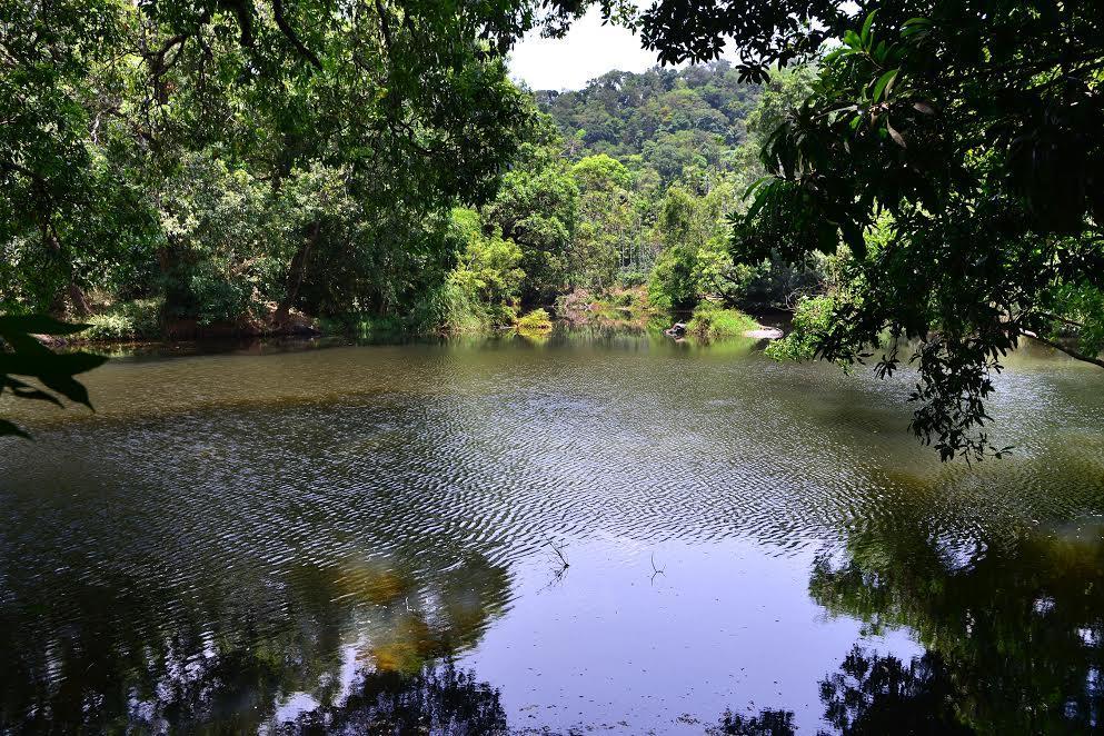 River Near Coorg Jambur Buitenkant foto